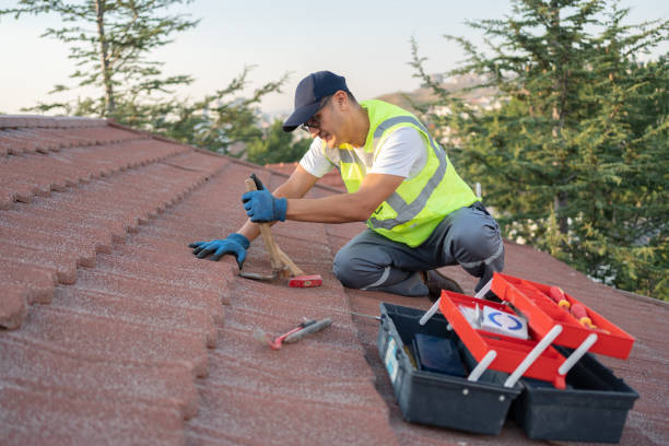 Best Roof Repair Services  in Waukon, IA