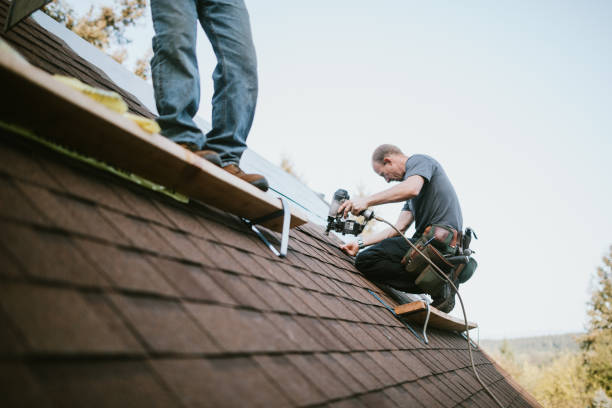 Quick and Trustworthy Emergency Roof Repair Services in Waukon, IA