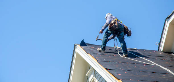 Best Roof Leak Repair  in Waukon, IA